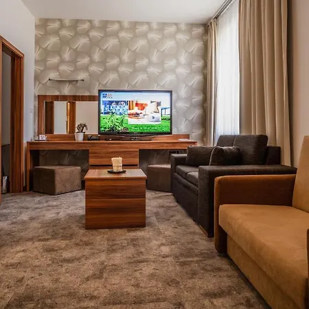 Otel Ring 3*