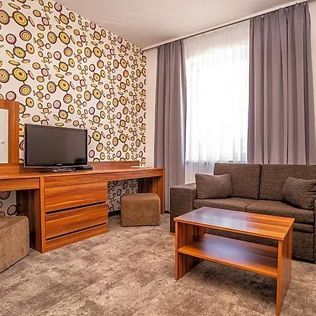 Otel Ring 3*