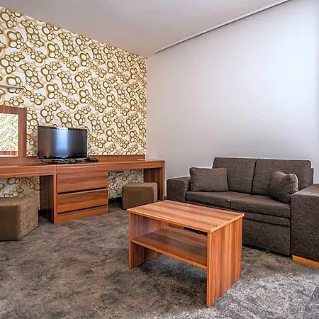 Otel Ring 3*